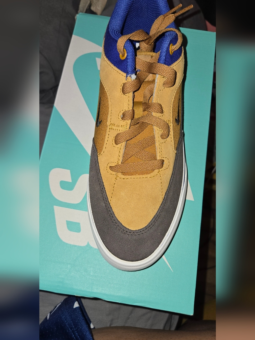 Nike Sb